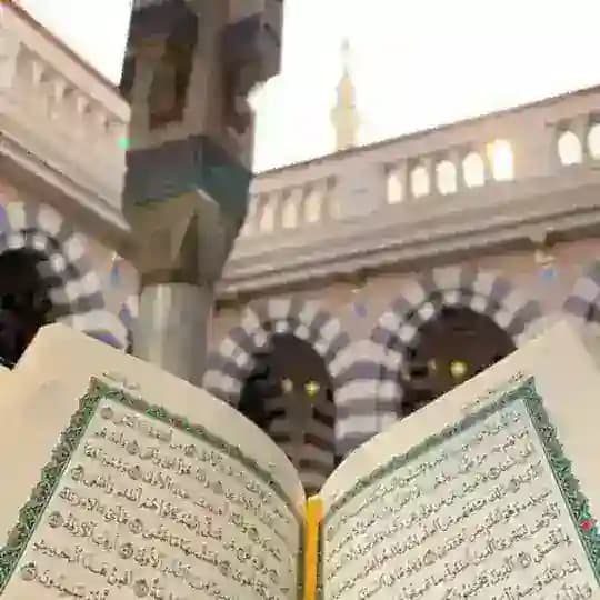 قناة ناصر آل متعب