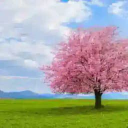 โ๐ผ๐ธ๐๐ผโ๐ฏ Profile