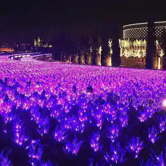 Парк Галицкого