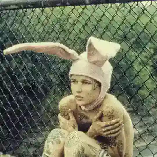 де вон а