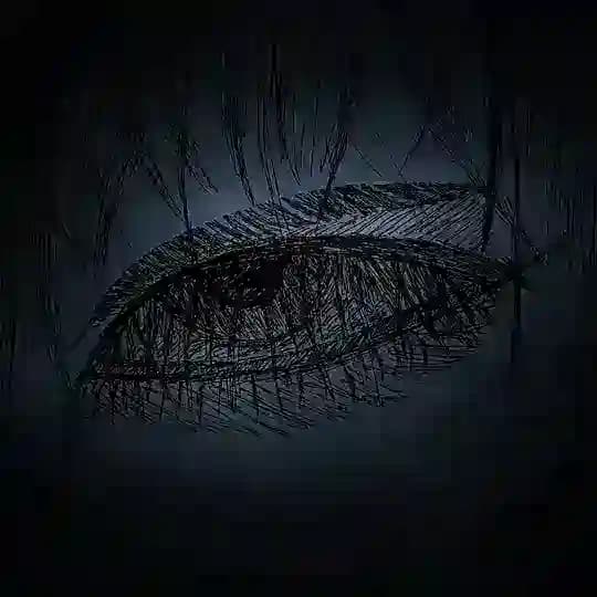 Msh Flux