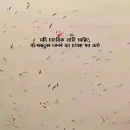 →𝗦αოгα†🔥 Profile