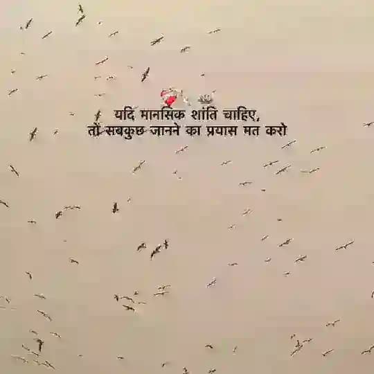 →𝗦αოгα†🔥 Profile