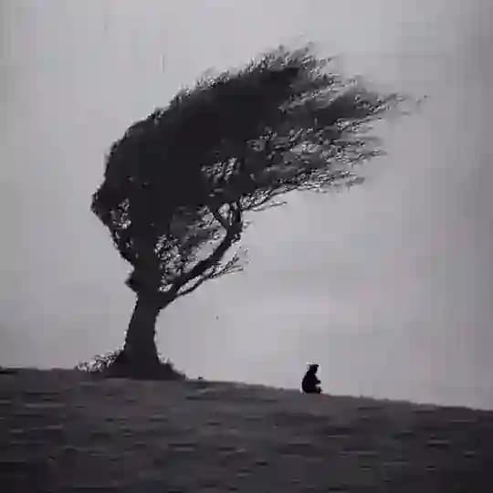 چیزهایی هست که نمیدانی