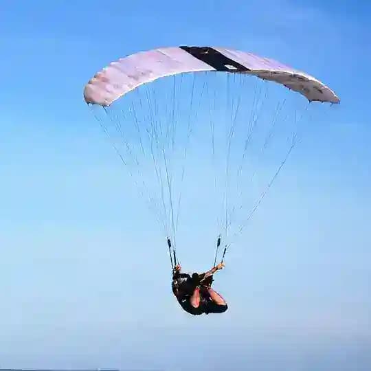 Ne Pro Skydive