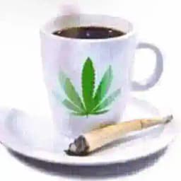 写真音楽、あなたがへ Profile