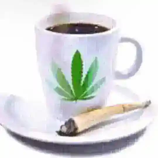 写真音楽、あなたがへ Profile