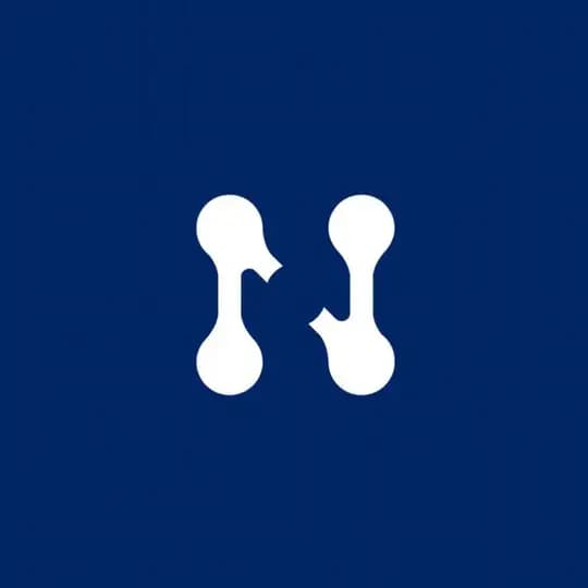 NeulinkAI Announcement