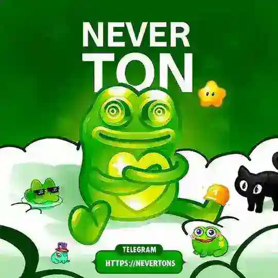 NEVER TON🎁