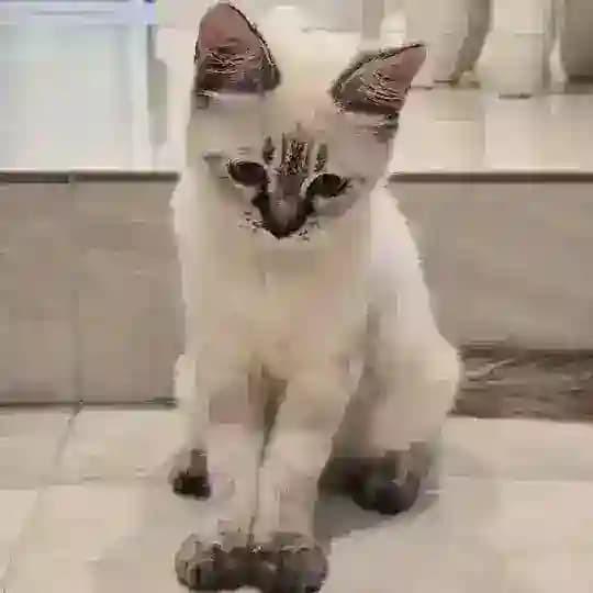 သတင်းထူး သတင်းဦး Profile