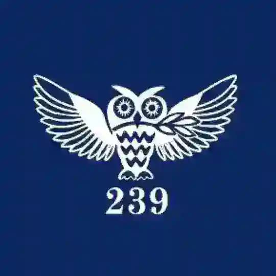 Президентский ФМЛ №239