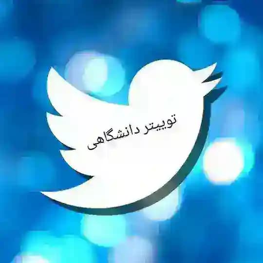 توییتر دانشگاهی
