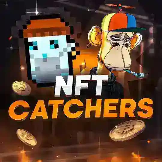 NFT CATCHERS