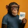 NFT HOUSE