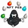 nft pes