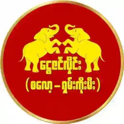 ငွေဇင်လှိုင်း ( စလော့ - ရှမ်းကိုးမီး ) VIP Profile