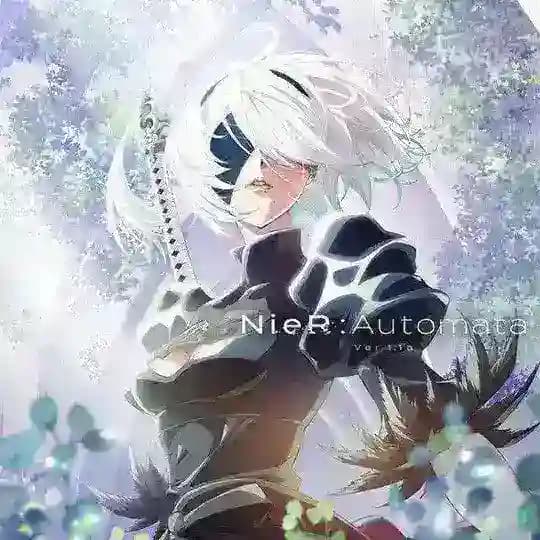 Nier avtomatlari