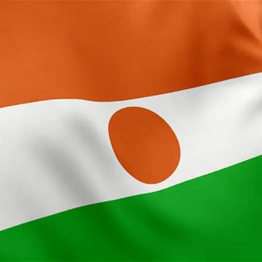 🌍 Niger News 🇳🇪 Profile