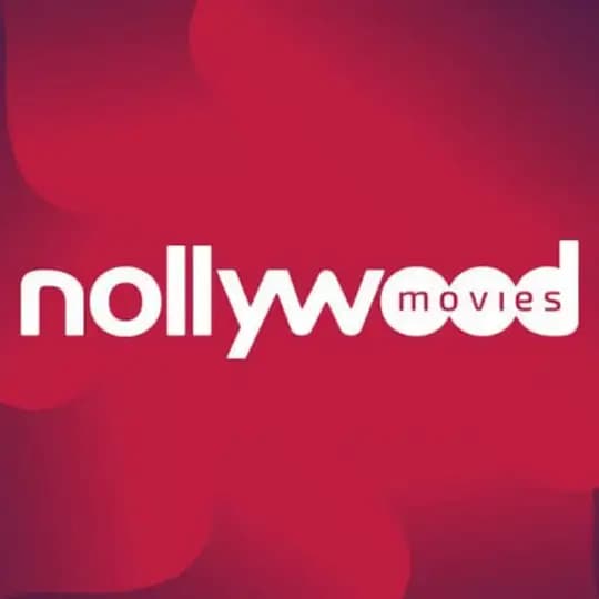 ๐ฟ๐ Film nigeriens francais