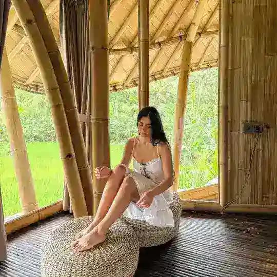 Niki Majlesi ✨
