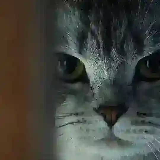 小牛（链上盈利过亿实仓记录） Profile