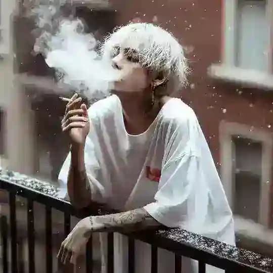 网红精选 Profile