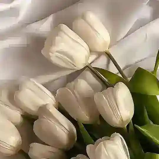 ألْمَى