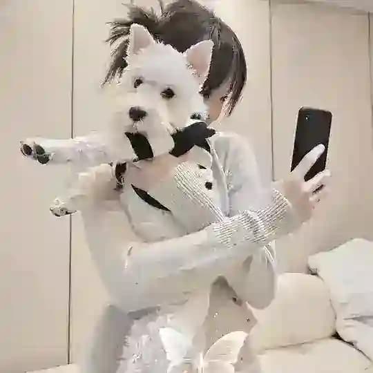 💞彩旗愛碎碎唸🙈
