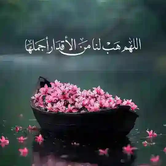 اقتباسات 🦋