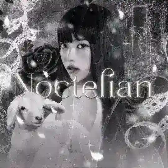 Noctelian: Midnight Lamb Court.