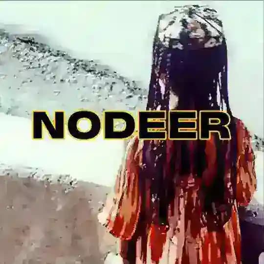 NODEER