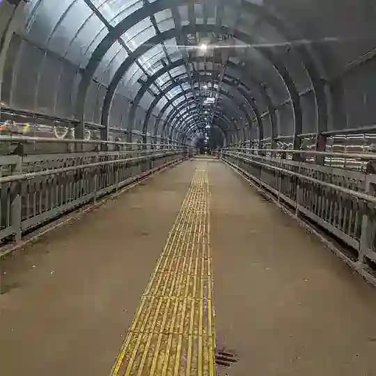 в шарье любят