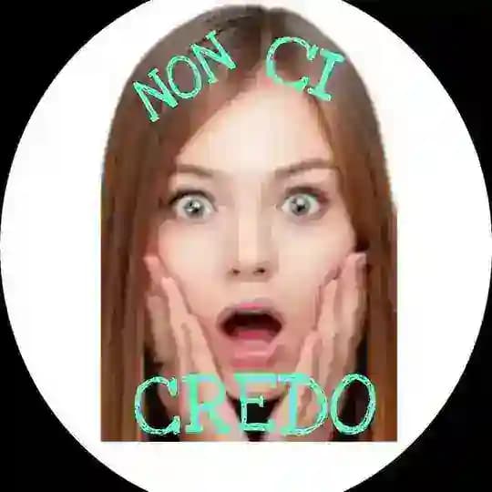 Non ci credo official