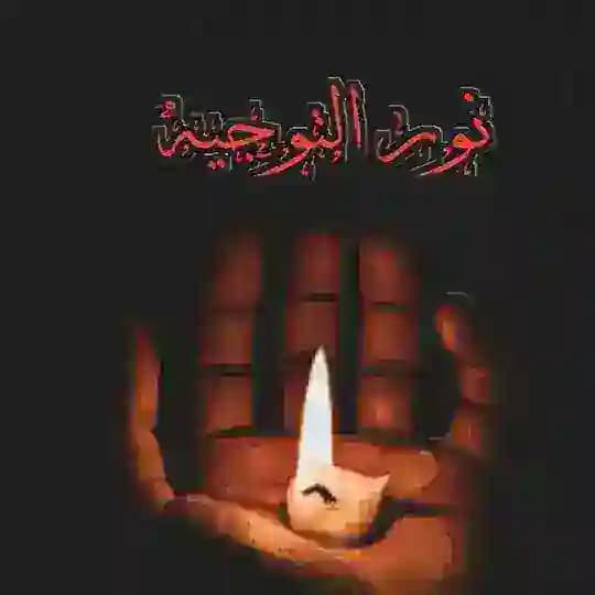 نور التوجيه