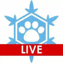 NordicFuzzCon Live Profile