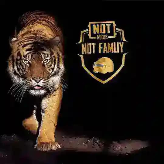 NOT NOOBS