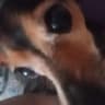это неея