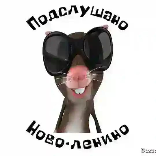 Подслушано Ново-ленино