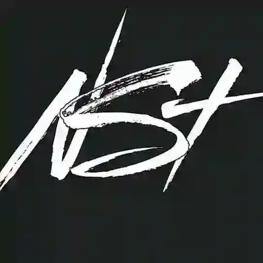 Novosibirsk Stunt Team