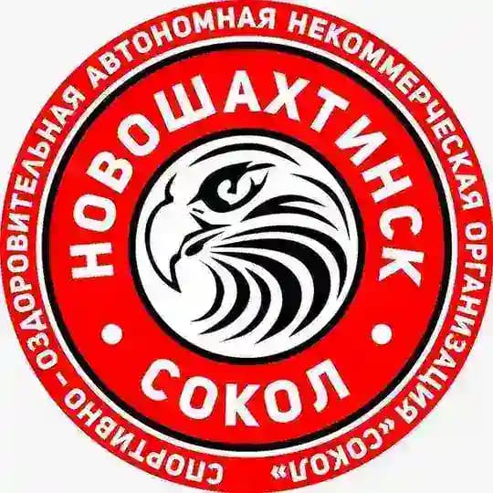Сокол г.Новошахтинск