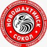 Сокол г.Новошахтинск