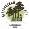 Бузулукский бор