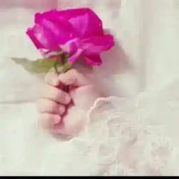 تغريدات 🕊💞 Profile