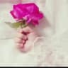 تغريدات 🕊💞