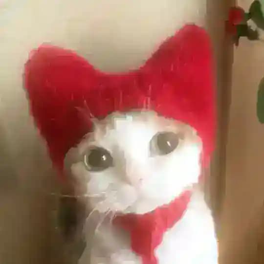 нт афк