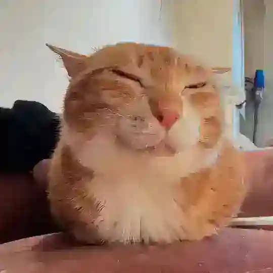 НЮДСЫ КФ ПЕРЕХОДНИК