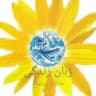 " زبان زندگی" ارتباطی بدون خشونت