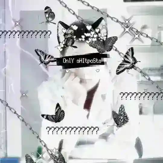 only shitposts 🦋