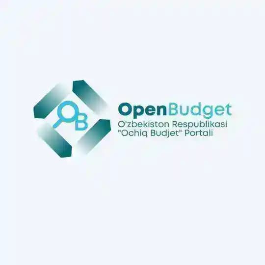 Open budjet • Toʻlovlar Profile