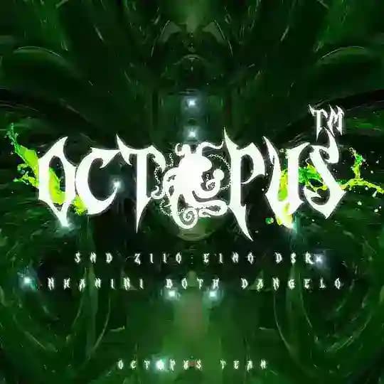 Octopus Team